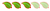 3 Leaf Rating